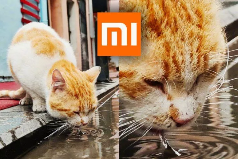 jak dobře fotí Xiaomi Mi 10