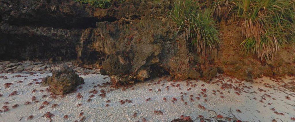 Street View krabi Vánoční ostrov