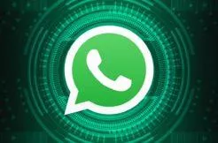 WhatsApp chyba vyhledávání Google WhatsApp chyba vyhledávání Google