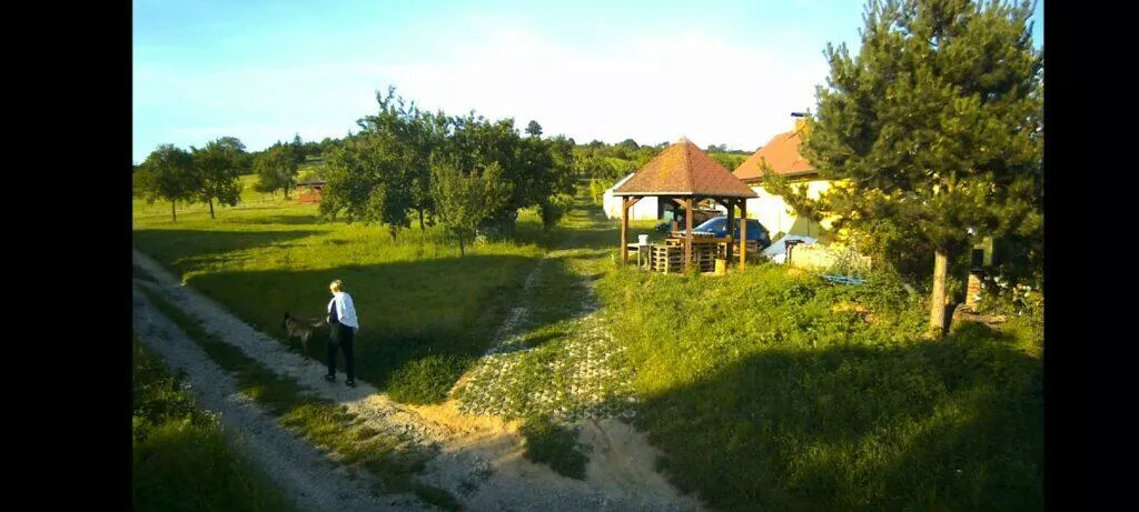 záznam chodec se psem