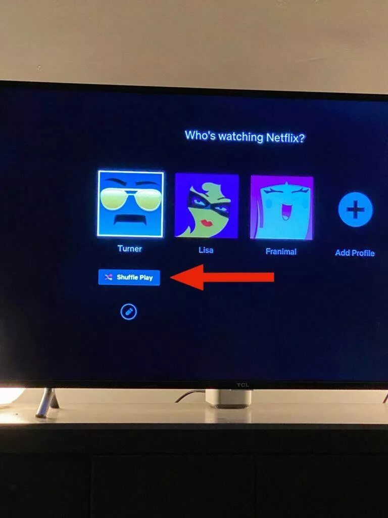 netflix shuffle play profil