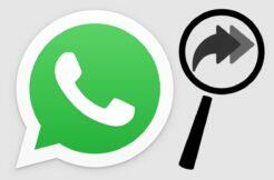 WhatsApp Prohledávání webu