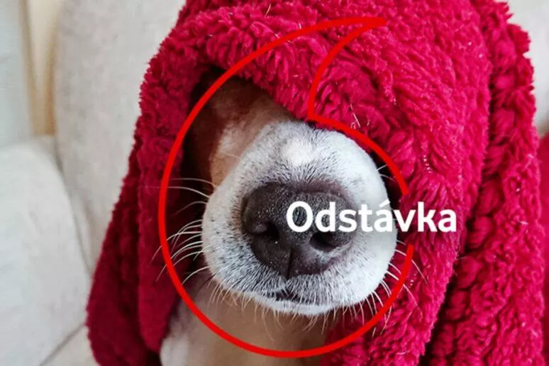 Vodafone odstávka září 2020