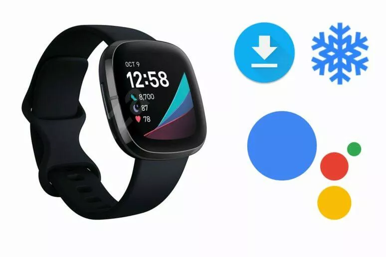 Fitbit Google Asistent zima Fitbit Google Asistent zima