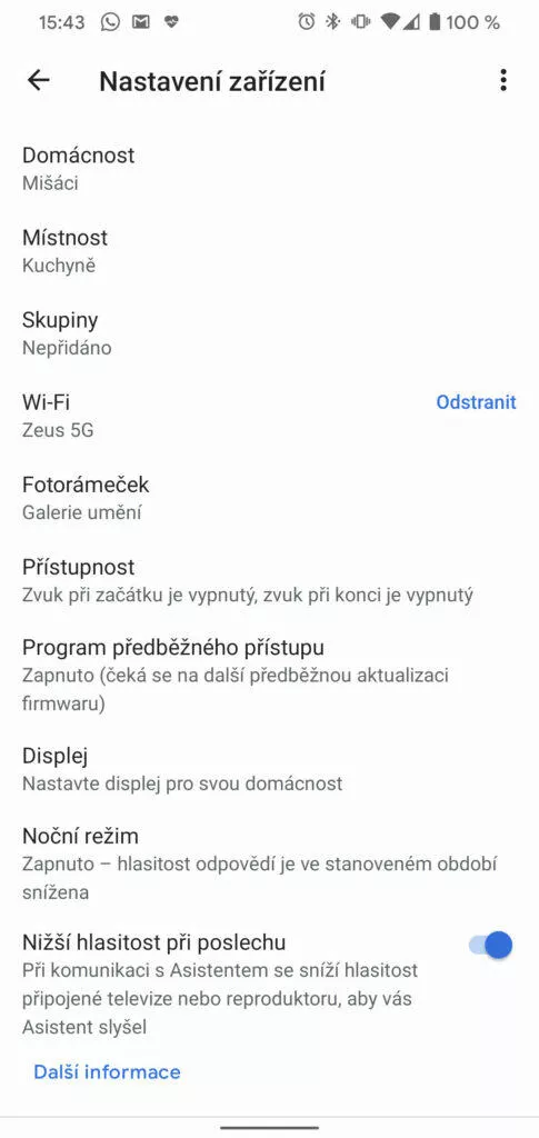 Google Home Hub program předbežného přístupu
