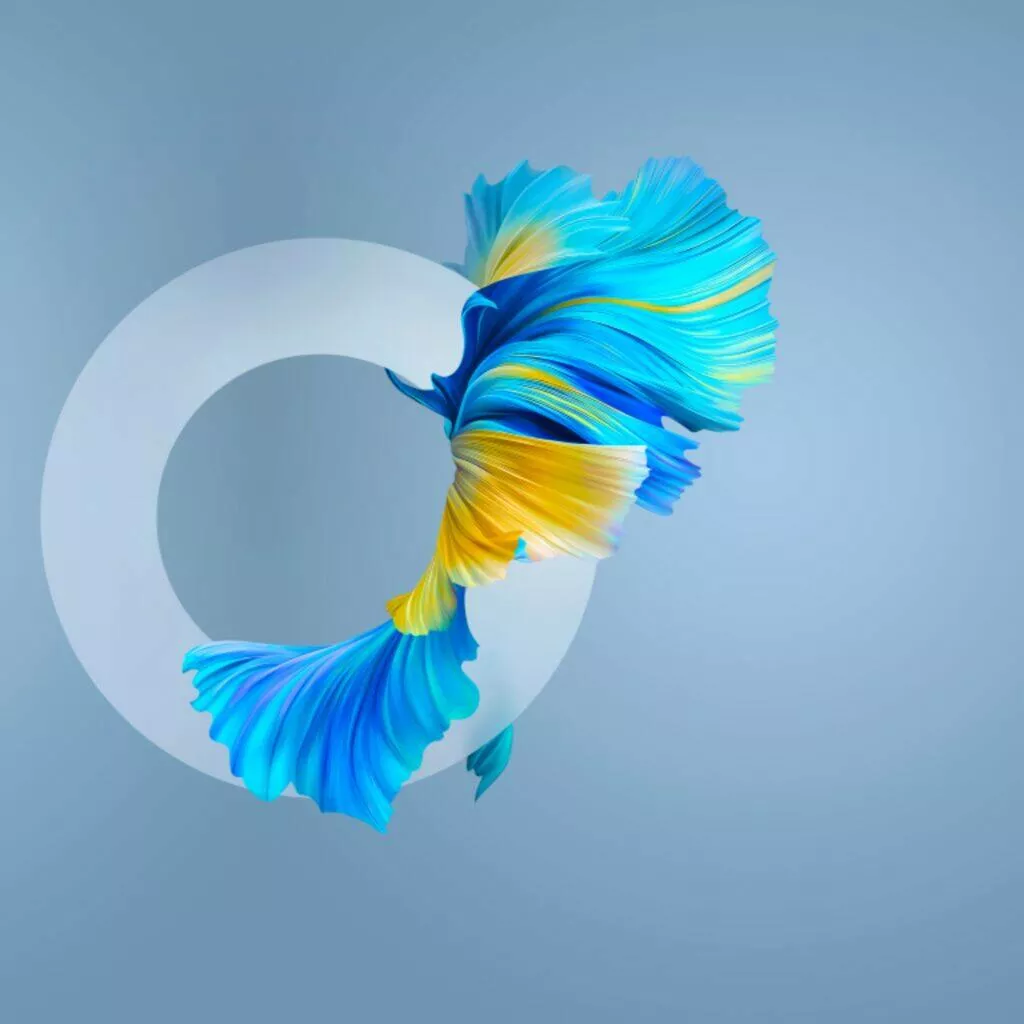 Huawei Mate 40 tapety O žlutomodrá