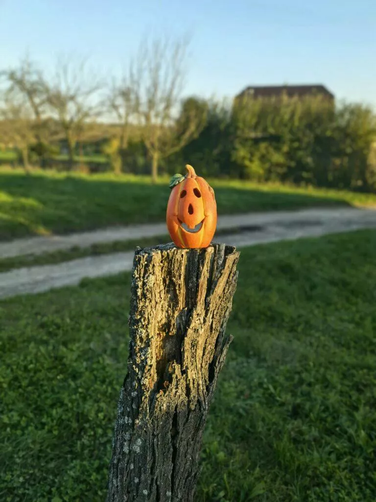 clona dřevo Mate 40 Pro