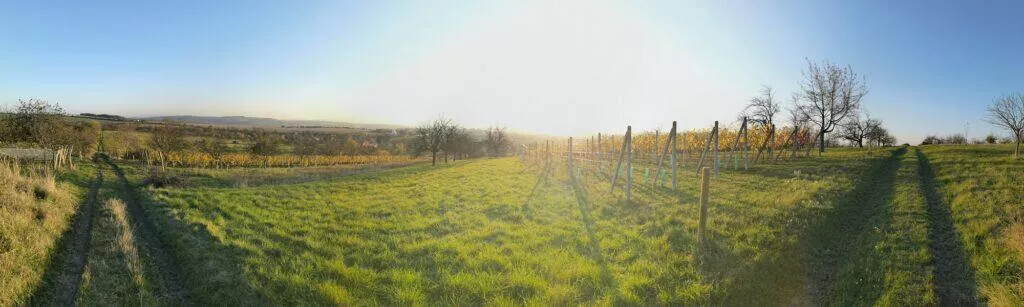 Mate 40 Pro P40 Pro S20 Ultra foto test panorama Mate 40 Pro