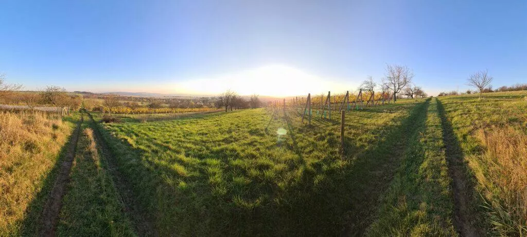 Mate 40 Pro P40 Pro S20 Ultra foto test panorama S20 Ultra