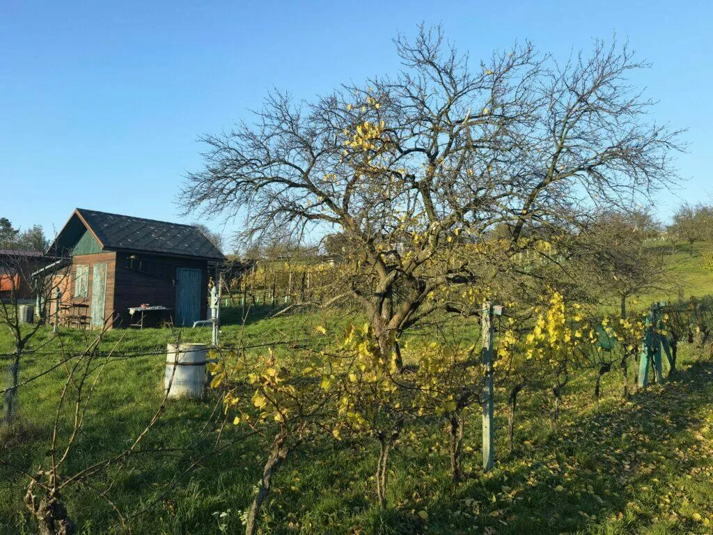 strom Mate 40 Pro