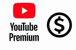 youtube premium statistiky