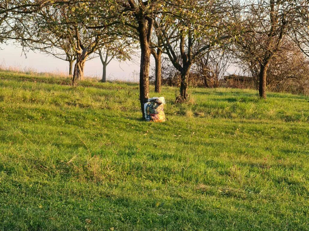 Mate 40 Pro P40 Pro S20 Ultra foto test zoom x5 S20 Ultra