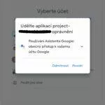 Google Asistent PC Windows Linux Mac 7 udělení oprávnění