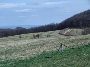 OnePlus 9 Pro 3,3x zoom krajina