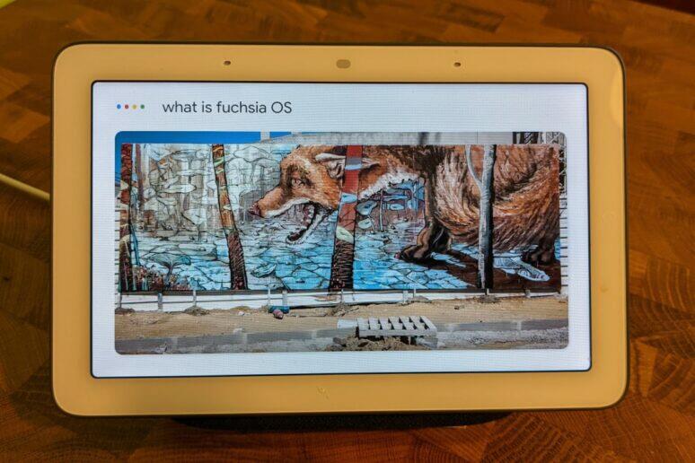 Fuchsia OS Nest Hub Google