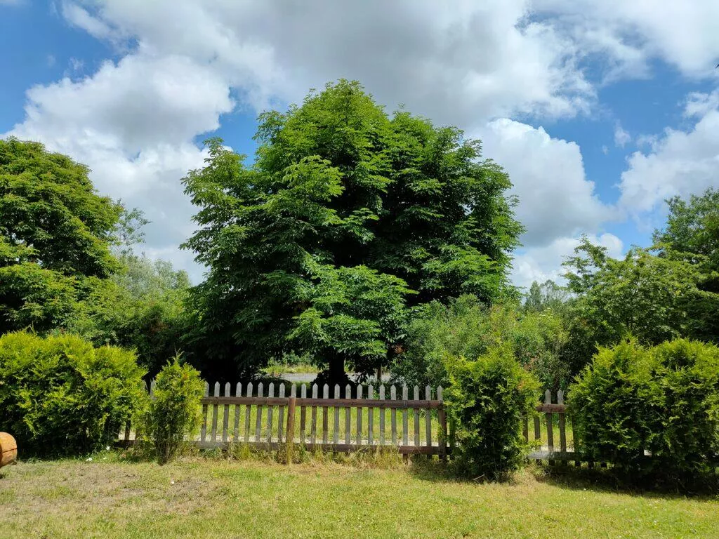 realme GT 5G fotoaparát