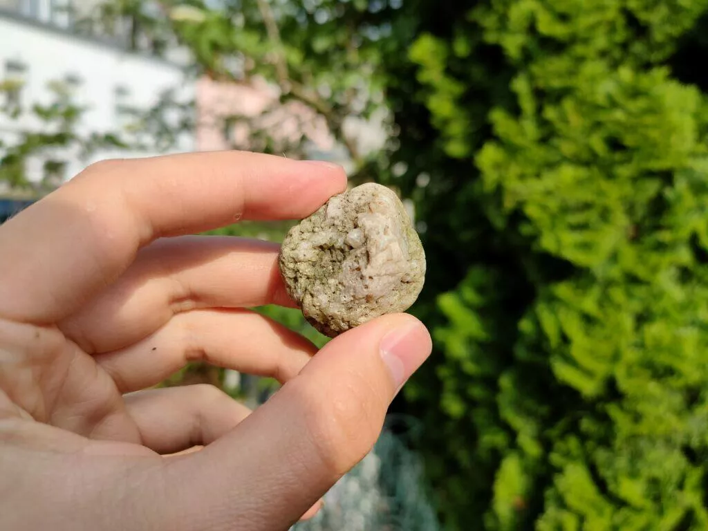 realme gt 5g kvalit fotoaparátů