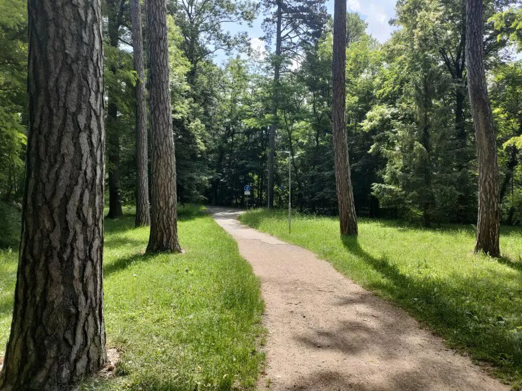 širokoúhlá fotografie oppo reno5 5g