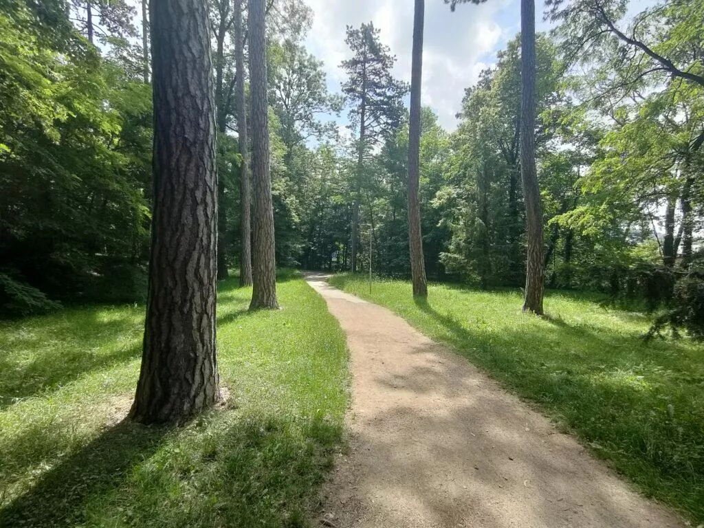 ultraširokoúhlá fotografie oppo reno5 5g.jpg