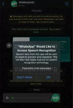 WhatsApp voice message conversion to text permissions