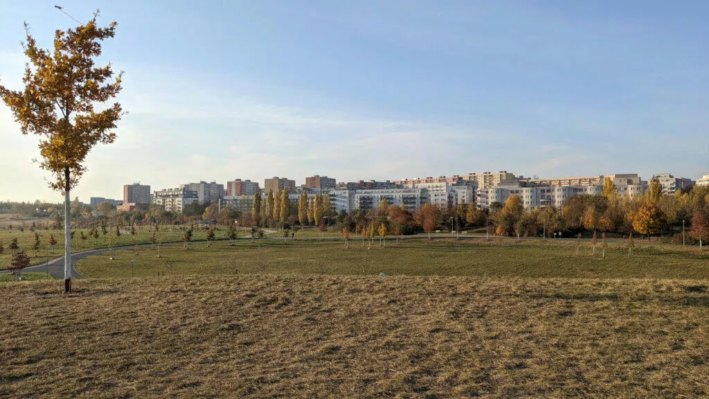 Google Pixel 5 fotografie v přírodě