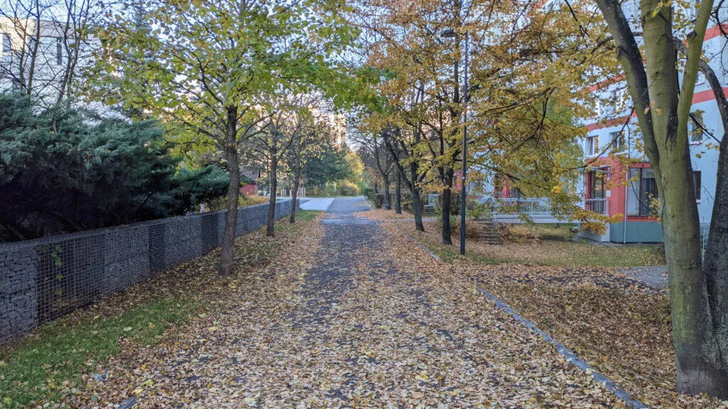 Google Pixel 5 podzim