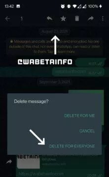 WhatsApp delete old message history Delete at all preview