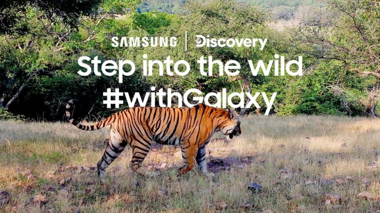 Galaxy x Discovery: Step into the wild with Galaxy S21 Ultra | Samsung