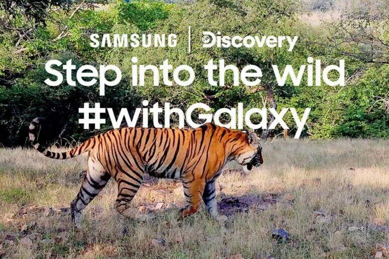 samsung galaxy s21 ultra tygr samsung galaxy s21 ultra tygr