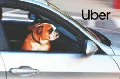 Uber Pet zvířata přeprava