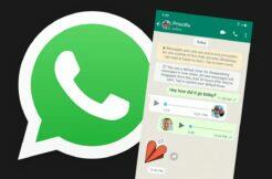 WhatsApp mizení zpráv nové možnosti nastavení