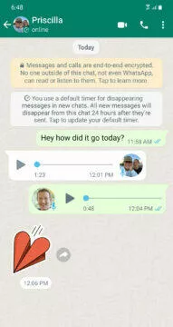 WhatsApp disappears news new Zuckerberg screen options