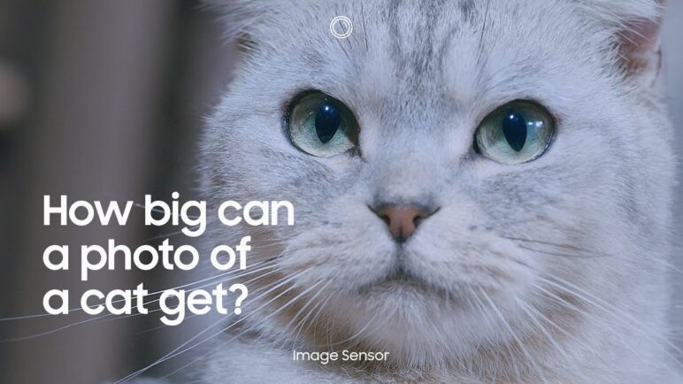 ISOCELL Image Sensor: More pixels. More detail. | Samsung