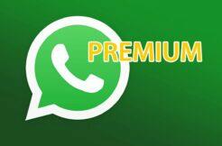 WhatsApp Premium Business
