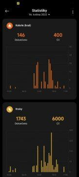 Xiaomi Wear Mi Fitness aplikace 9 statistiky 2