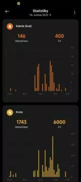 Xiaomi Wear Mi Fitness aplikace 9 statistiky 2