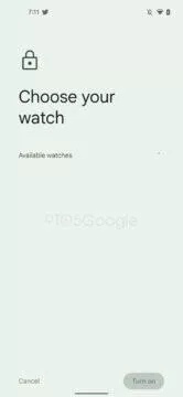 pixel watch app