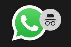 WhatsApp stav online ukrytí nikdo