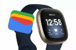 fitbit-google-penezenka wallet-animace wear os