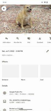 Fotky Google aplikace Archiv přejmenování skrýt