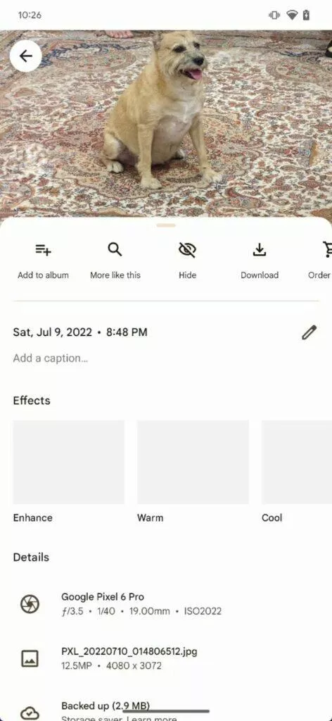 Fotky Google aplikace Archiv přejmenování skrýt