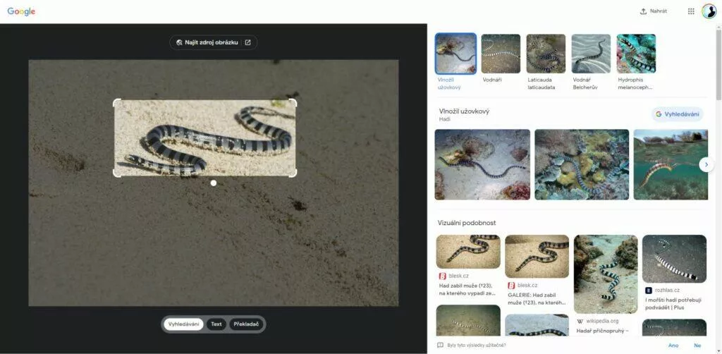Obrázky Google vyhledávání Google Lens nabídka intergrace ikona výsledek