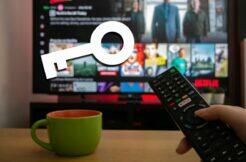 Netflix Voyo iPrima HBO Max hesla sdílení ESET průzkum