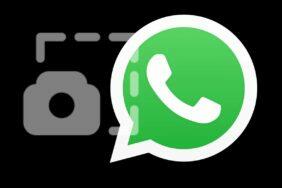 WhatsApp screenshot záznam obrazovky jednorázové foto video blokace