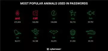 Cybernews nejslabší hesla 2022 zvířata