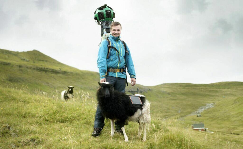 Street View alternativní snímání ovce