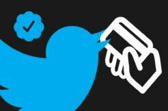 Twitter Blue předplatné ověření profilu modrá fajfka verified badge cena