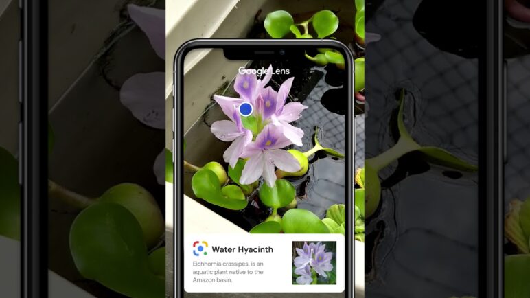 Save Time with Google Lens