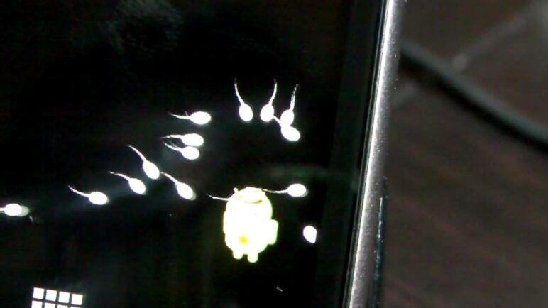 "Seeds of Life" Live wallpaper on the Nexus One