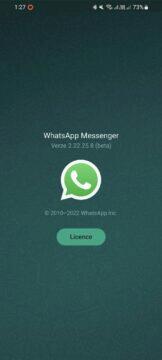 WhatsApp aplikace duální přihlášení druhý mobil návod tablet beta 1 beta 2.22.25.8